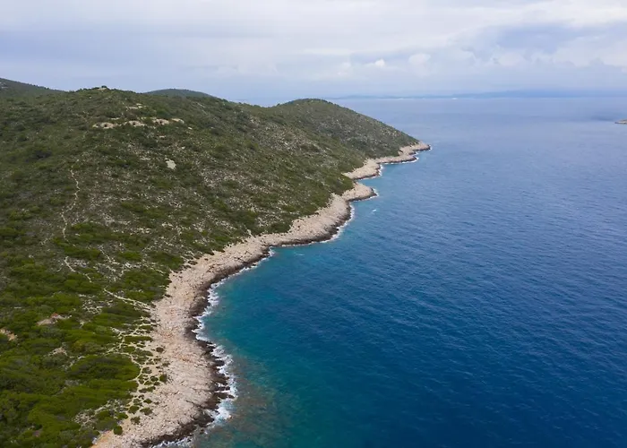 Didova Kuca 公寓 维斯